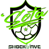 Team logo